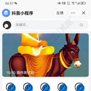 Discuz! 抖音小程序接口 1.0(dzw_pn_app_api)