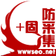 Discuz加固防采集+干扰码 手机+电脑商业版(wwwseo_ycfcjlm)